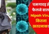 What is the symptoms of Nipah virus?